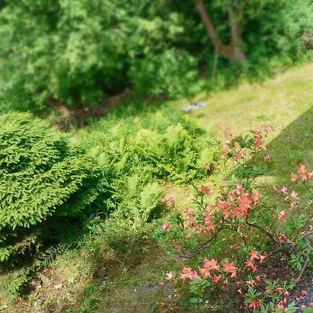 Przy Lipie Nyaraló *