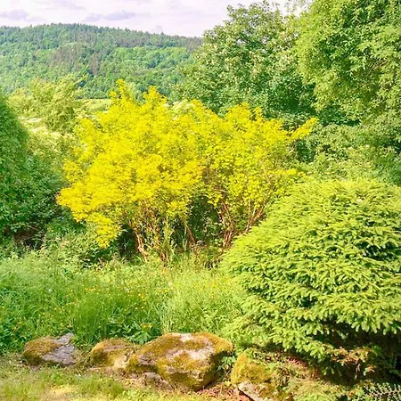 Nyaraló Przy Lipie Stróża