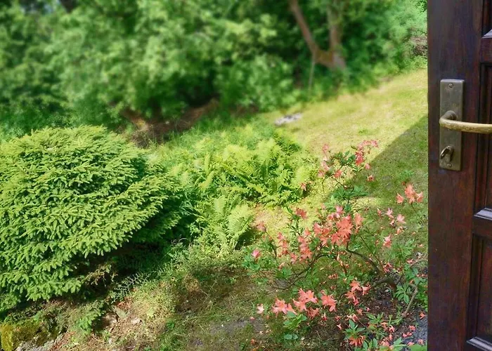 Przy Lipie בית נופש *